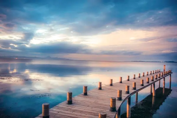 北京体育大学博导简介